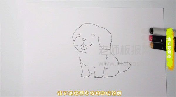 金毛犬简笔画图片 金毛犬怎么画的