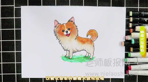 蝴蝶犬简笔画图片 蝴蝶犬怎么画的