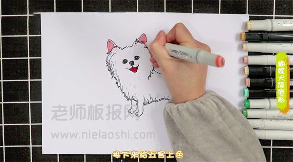 蝴蝶犬简笔画图片 蝴蝶犬怎么画的