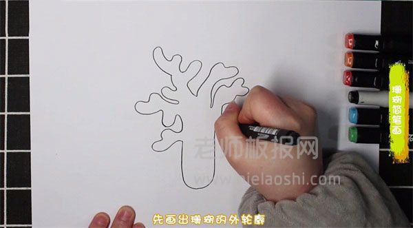 珊瑚简笔画图片 珊瑚如何画的