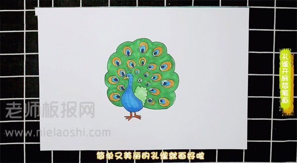 孔雀开屏简笔画图片 孔雀开屏怎么画的