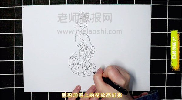 孔雀简笔画图片 孔雀怎么画的