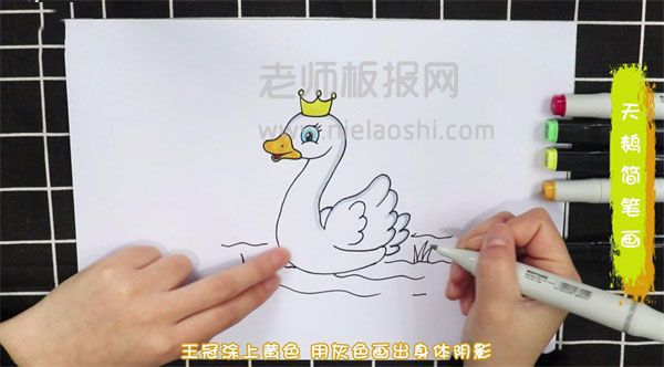 天鹅简笔画图片 天鹅如何画的