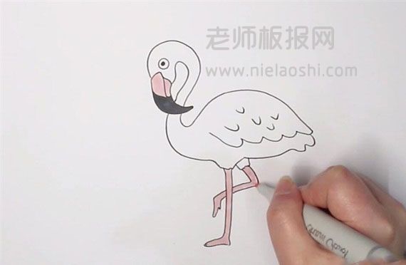 火烈鸟简笔画图片怎么画的