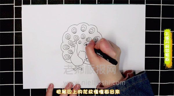 孔雀开屏简笔画图片 孔雀开屏怎么画的