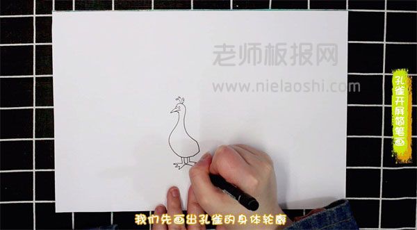 孔雀开屏简笔画图片 孔雀开屏怎么画的