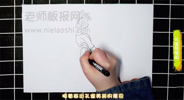 孔雀简笔画图片 孔雀怎么画的