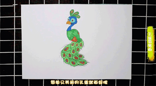 孔雀简笔画图片 孔雀怎么画的