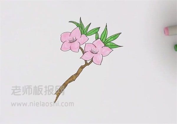 桃花简笔画图片 桃花的画法