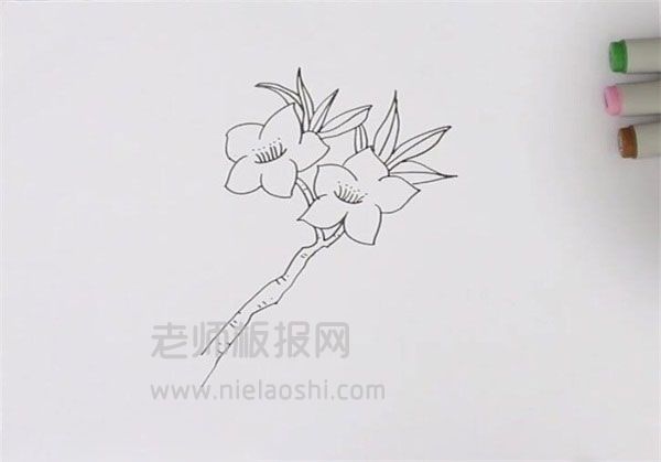 桃花简笔画图片 桃花的画法