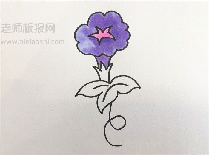 牵牛花简笔画图片 牵牛花怎么画