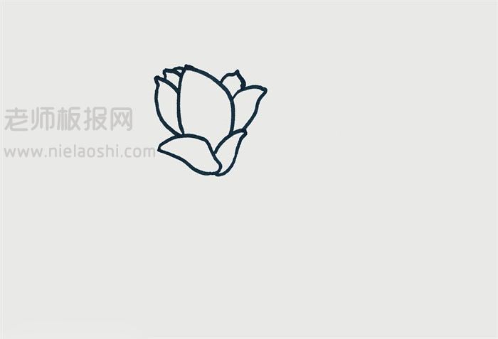 玉兰花简笔画图片 花怎么画的