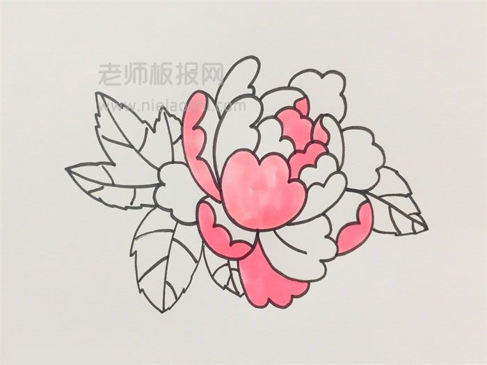 牡丹花简笔画图片 牡丹花的画法