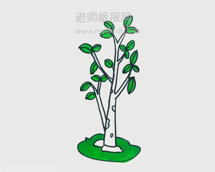 绿色的小树简笔画图片 小树怎么画