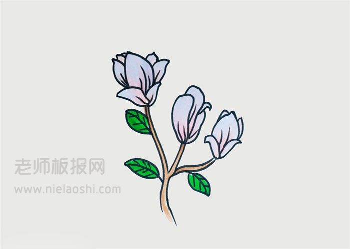 玉兰花简笔画图片 花怎么画的