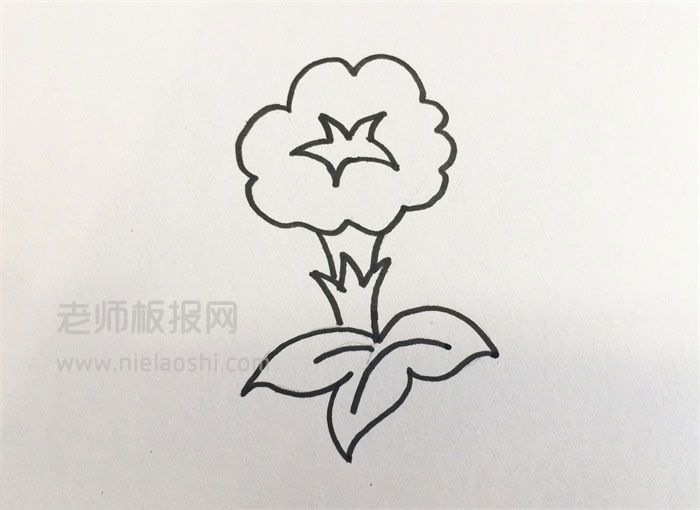 牵牛花简笔画图片 牵牛花怎么画