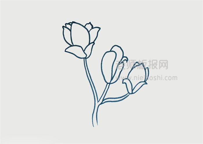 玉兰花简笔画图片 花怎么画的