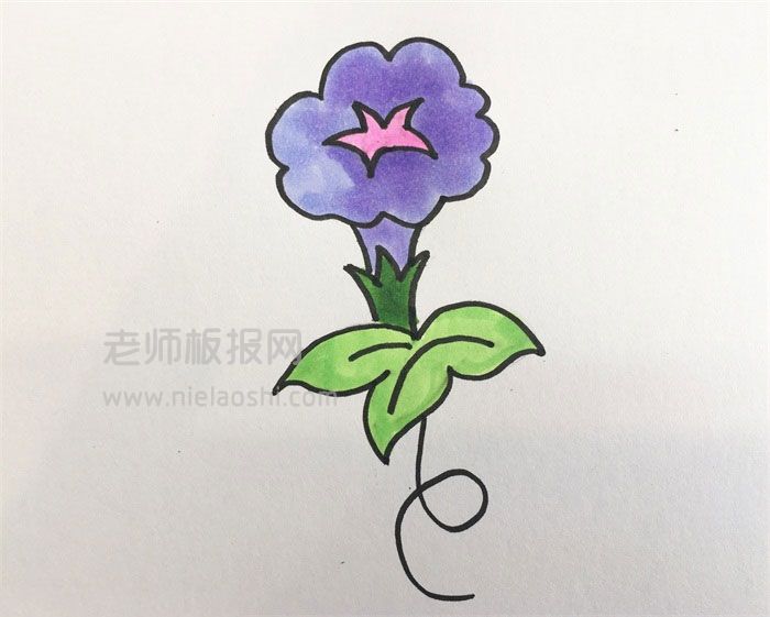 牵牛花简笔画图片 牵牛花怎么画