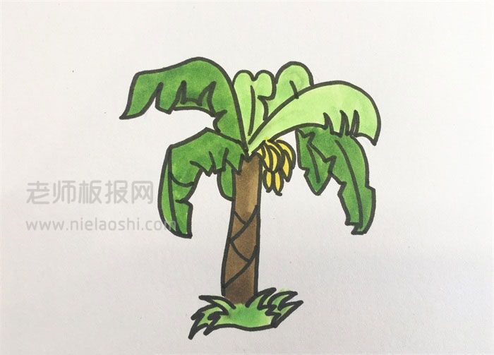 香蕉树简笔画图片 香蕉树怎么画的