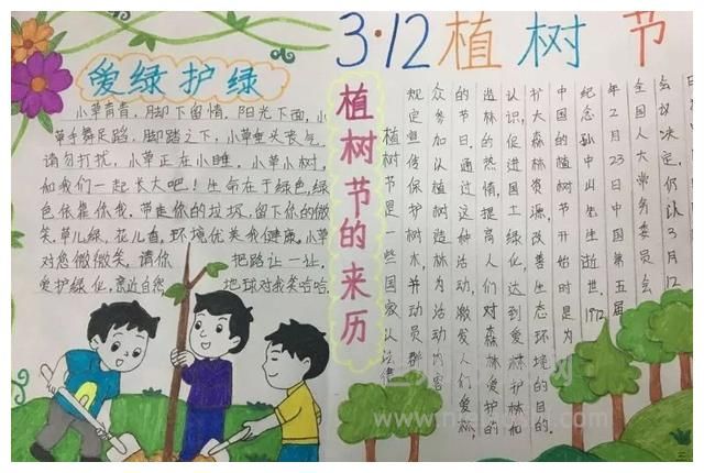 3·12植树节手抄报图片