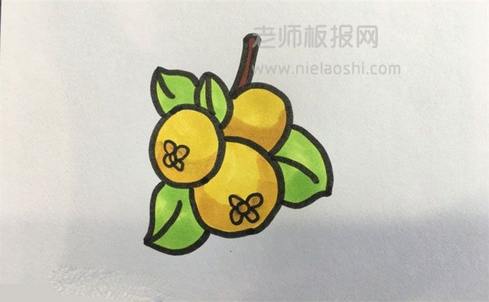 枇杷简笔画图片 画枇杷