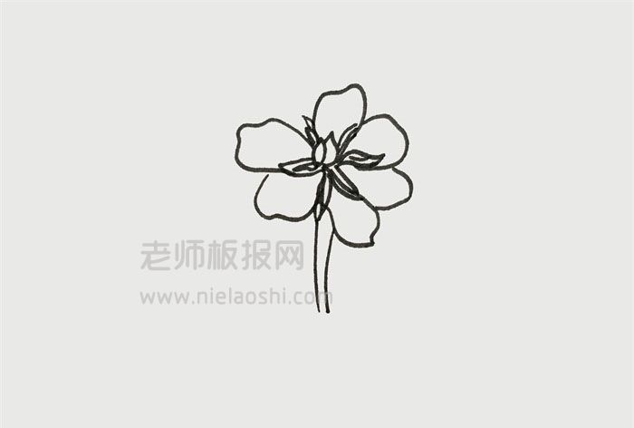 栀子花简笔画图片怎么画