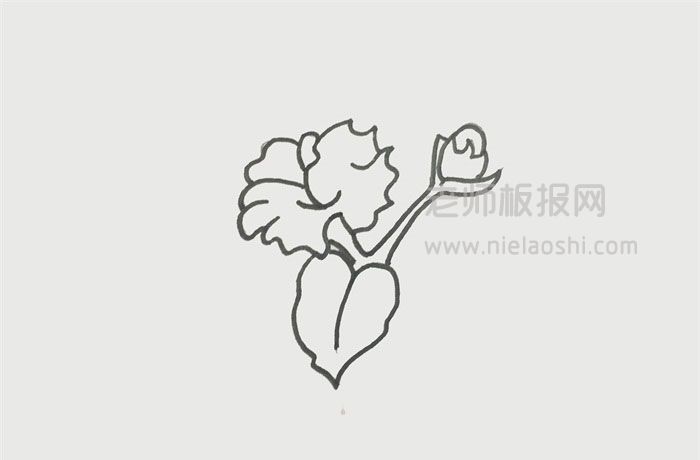 木棉花简笔画图片 木棉花怎么画