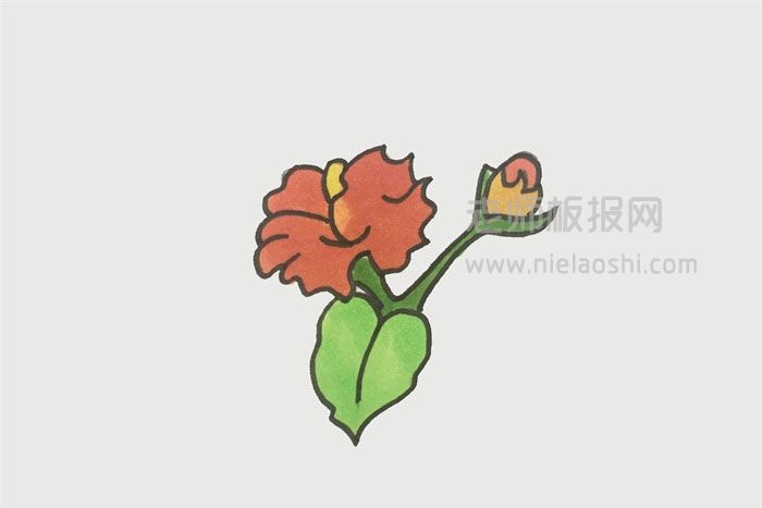 木棉花简笔画图片 木棉花怎么画