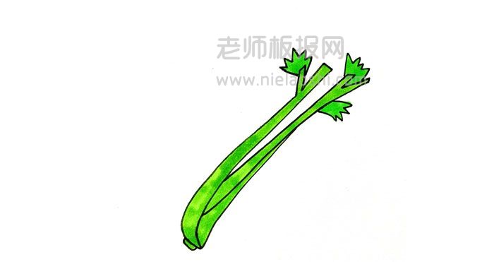 芹菜简笔画图片 芹菜怎么画