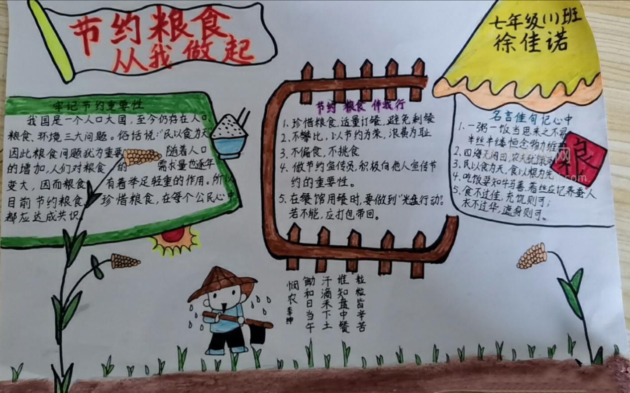 小学节约粮食手抄报图片