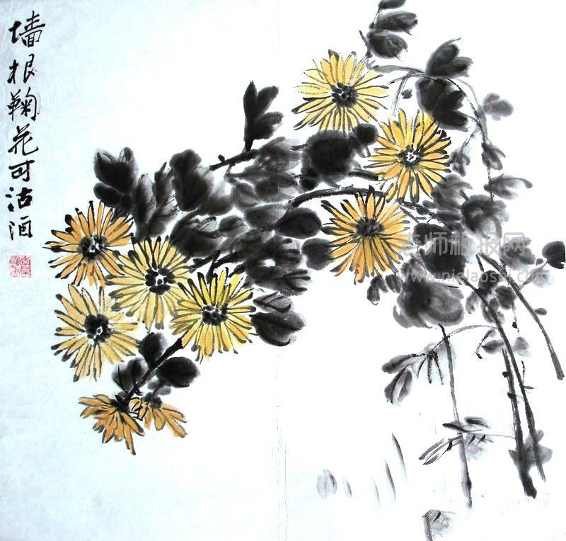 国画菊花图， 花之隐逸者