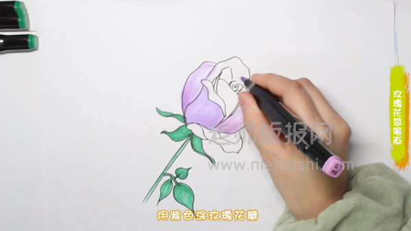 玫瑰花简笔画图片 简单的玫瑰怎么画