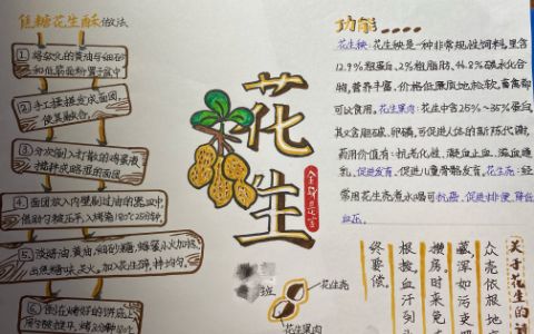 关于花生全身是宝手抄报图片