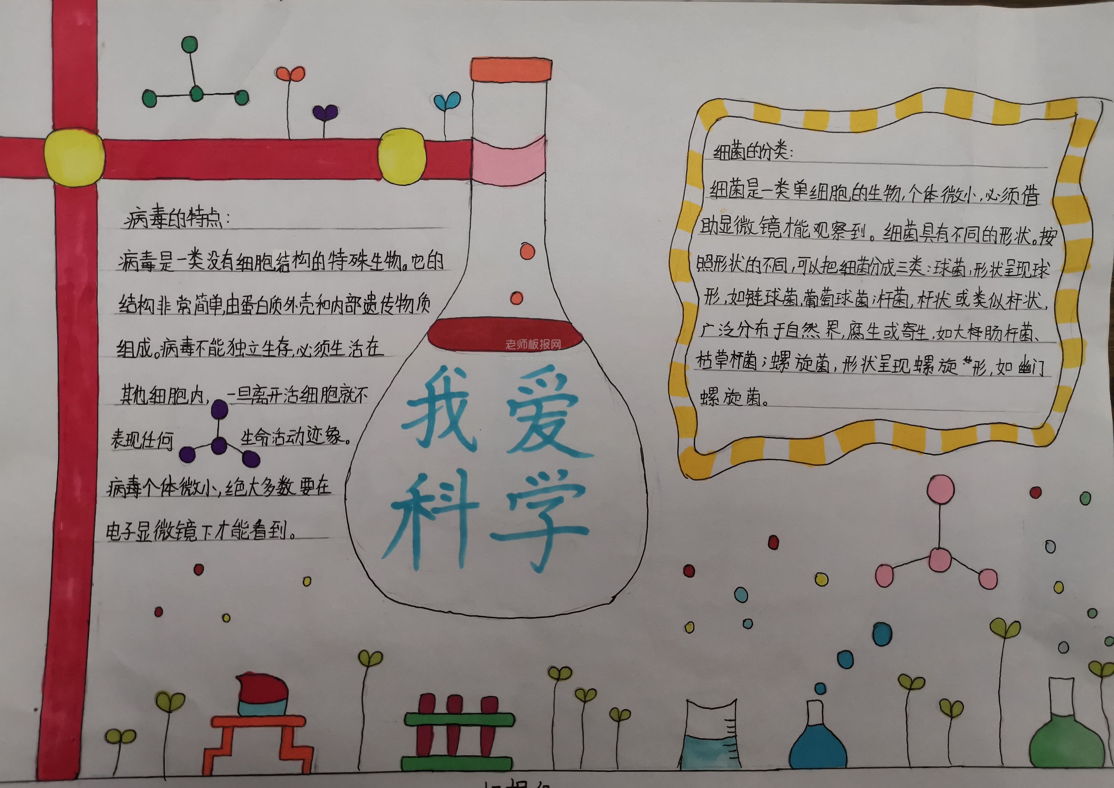 我爱科学手抄报图片 关于细菌、病毒、真菌