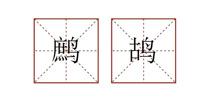 鹧鸪怎么读