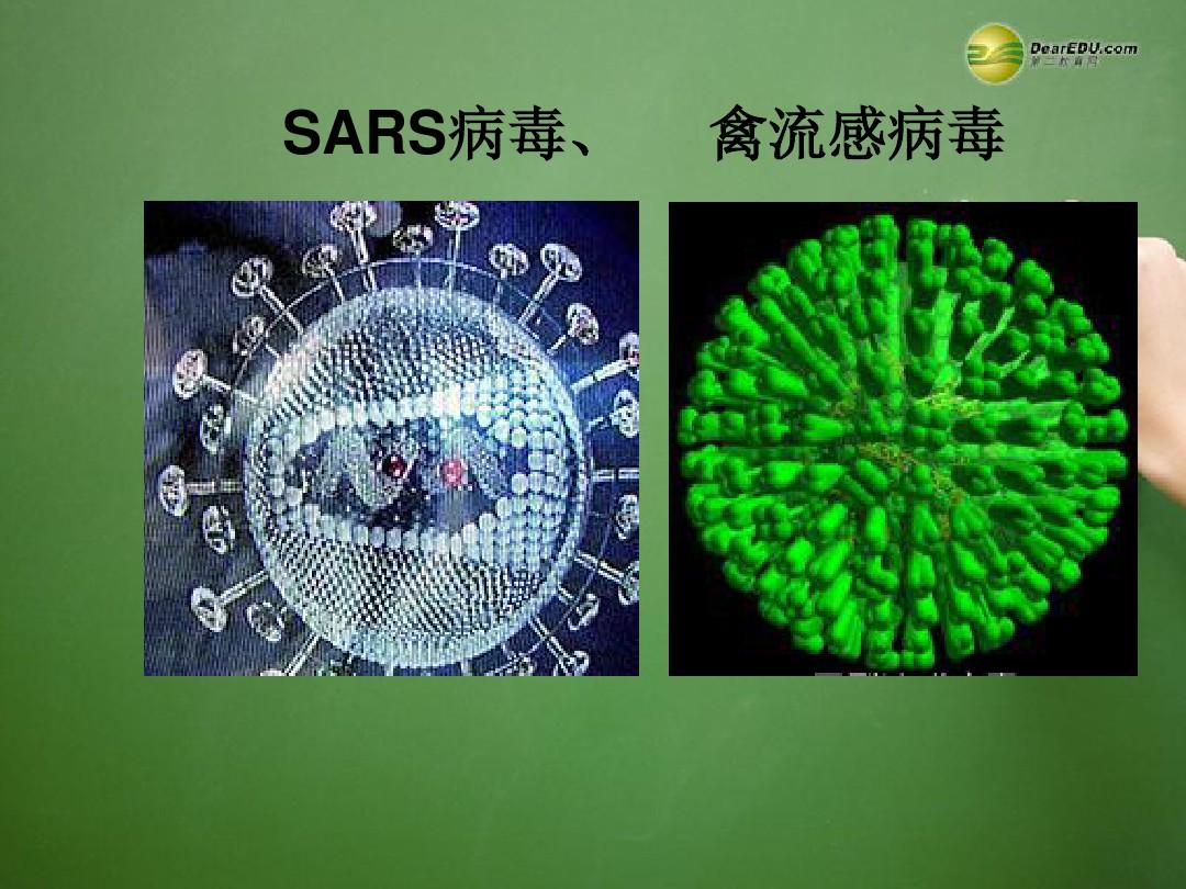 类SARS病毒预防措施