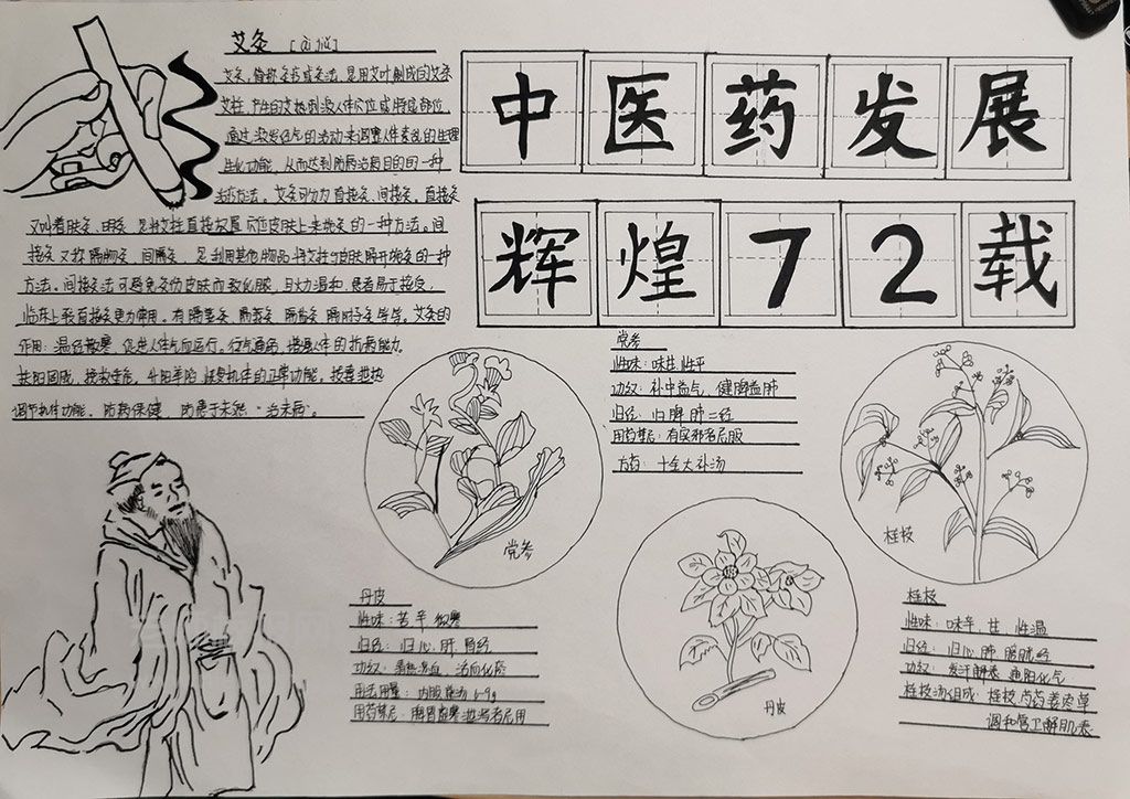 中医药发展辉煌72载手抄报图片