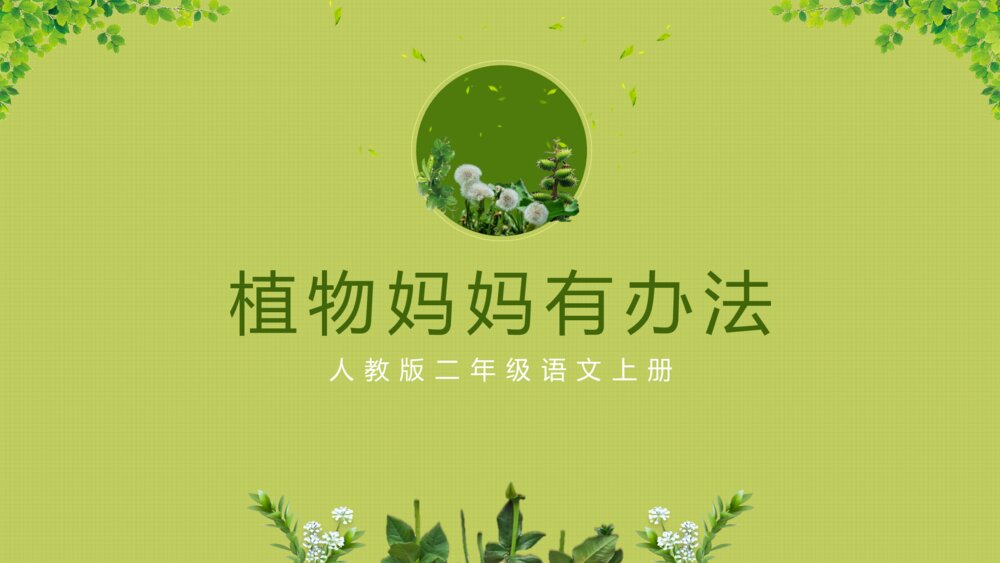 《植物妈妈有办法》人教版二年级语文上册教学课件PPT