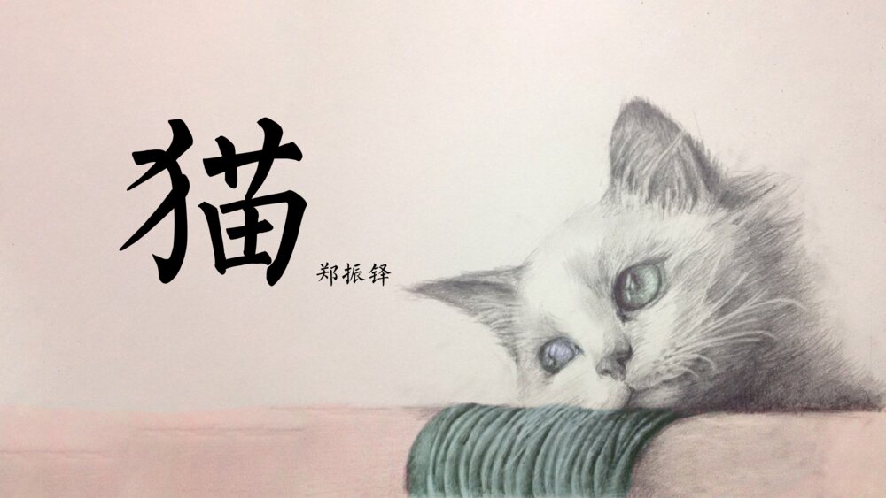 《猫》部编版初中语文七年级郑振铎教学PPT课件