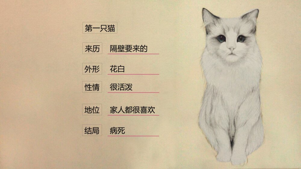 《猫》部编版初中语文七年级郑振铎教学PPT课件3