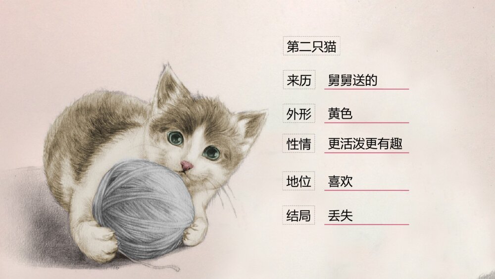 《猫》部编版初中语文七年级郑振铎教学PPT课件4