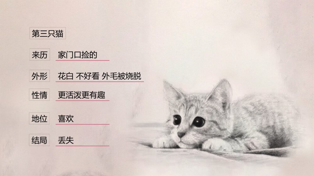 《猫》部编版初中语文七年级郑振铎教学PPT课件5