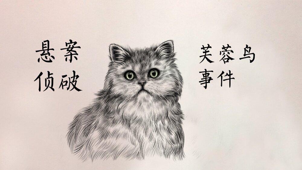 《猫》部编版初中语文七年级郑振铎教学PPT课件6