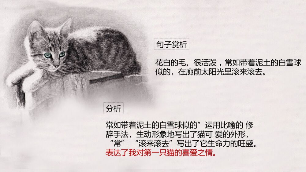 《猫》部编版初中语文七年级郑振铎教学PPT课件7