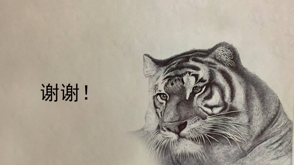 《猫》部编版初中语文七年级郑振铎教学PPT课件10