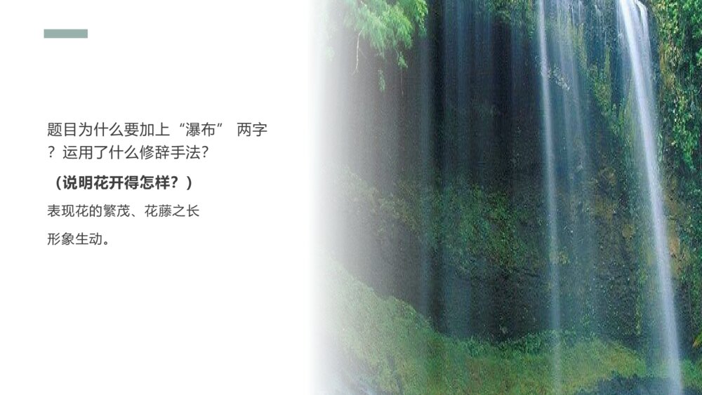 《紫藤萝瀑布》人教版七年级上册语文PPT课件7