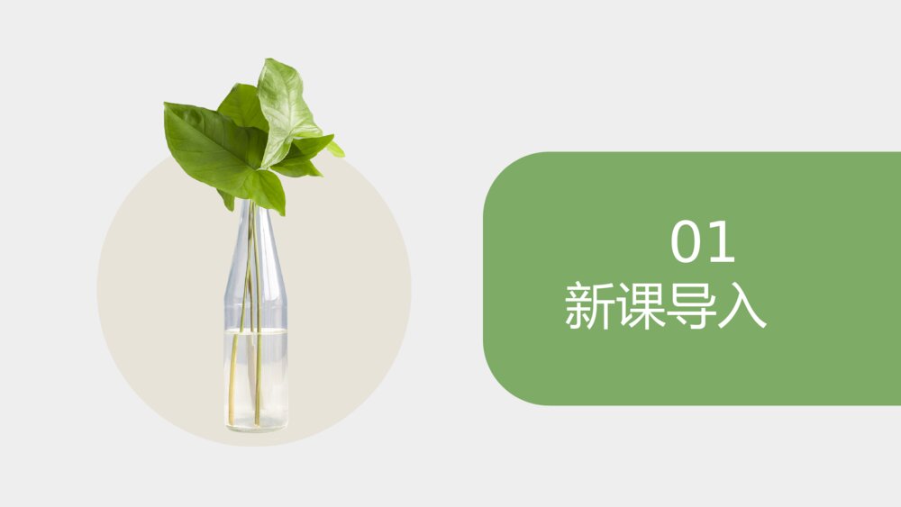 《植物生长素的发现》人教版必修三生物PPT课件3