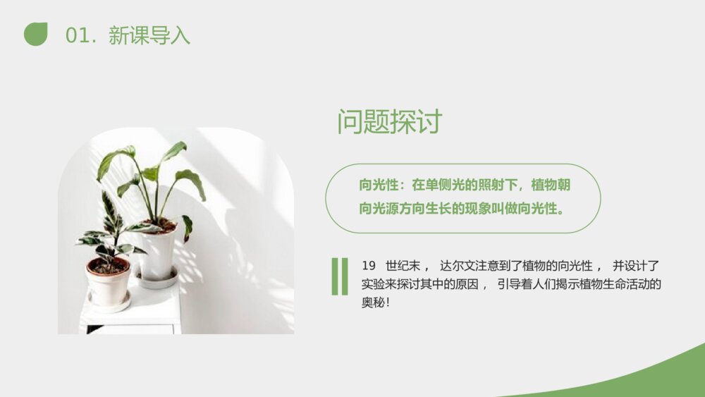 《植物生长素的发现》人教版必修三生物PPT课件4