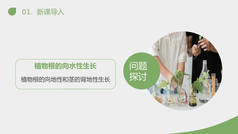 《植物生长素的发现》人教版必修三生物PPT课件5
