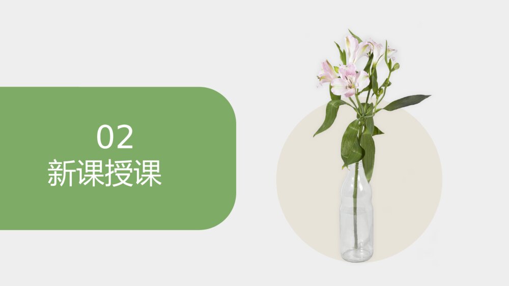 《植物生长素的发现》人教版必修三生物PPT课件6